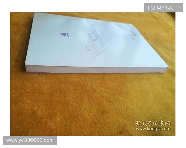 南京网球队防守战术深度分析与实战应用探讨 南京网球队防守战术深度分析与实战应用探讨