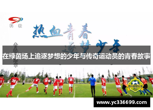 在绿茵场上追逐梦想的少年与传奇运动员的青春故事