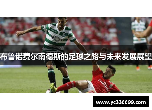 布鲁诺费尔南德斯的足球之路与未来发展展望