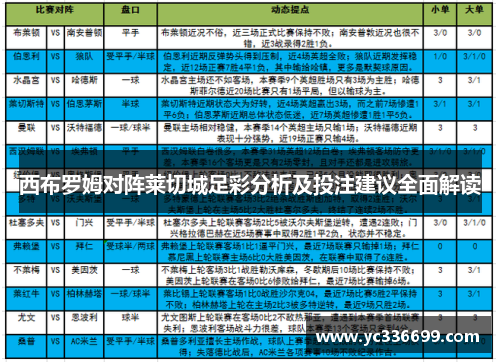 西布罗姆对阵莱切城足彩分析及投注建议全面解读