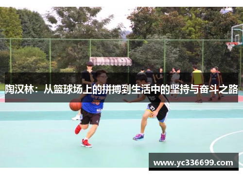 陶汉林：从篮球场上的拼搏到生活中的坚持与奋斗之路
